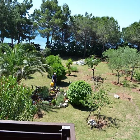 Kurta * Privlaka (Zadar)