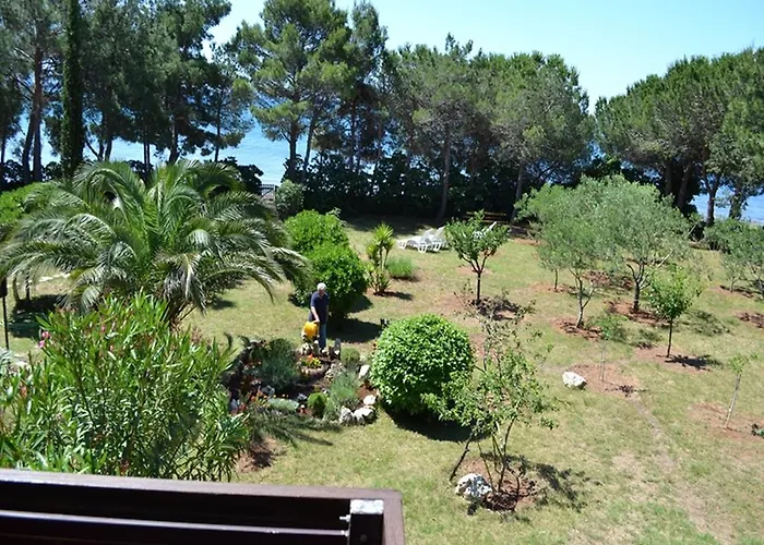 Kurta * 프리블라카